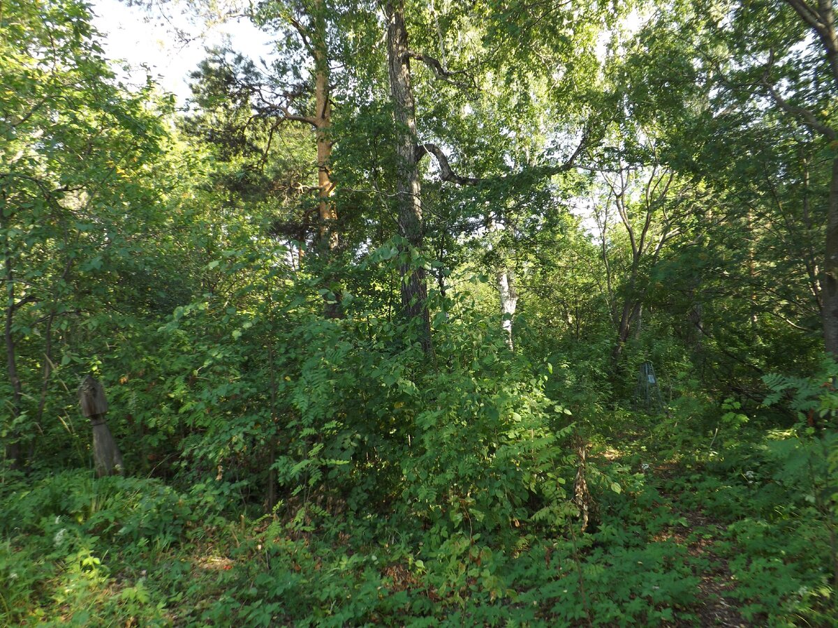 Голубец на Покровском кладбище