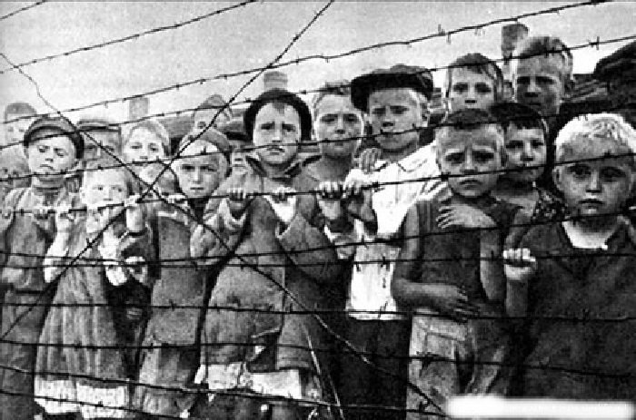  Дети - узники вырицкого концлагеря. Архивное фото