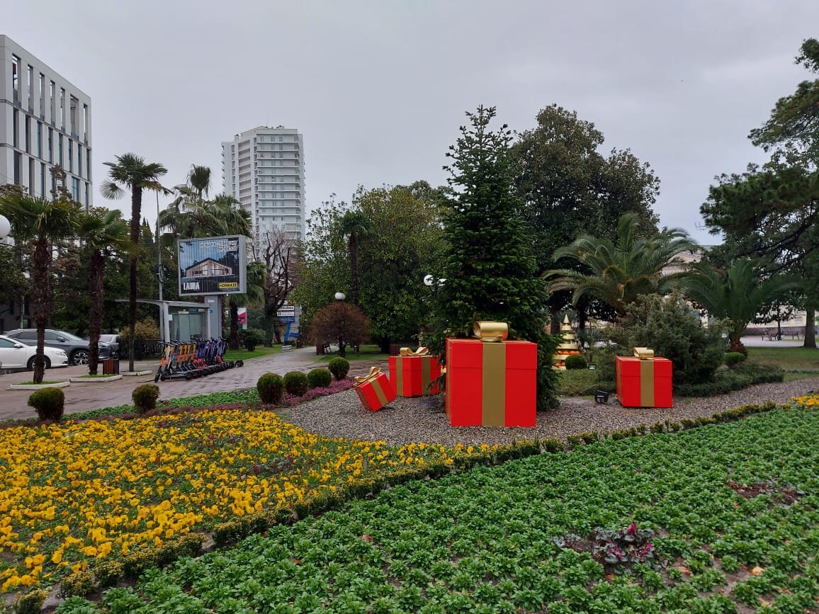 Февраль Сочи. Лето.