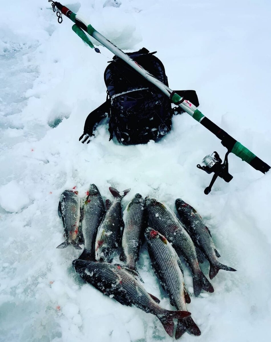 Ловля хариуса на кромке 🎣🎣🎣