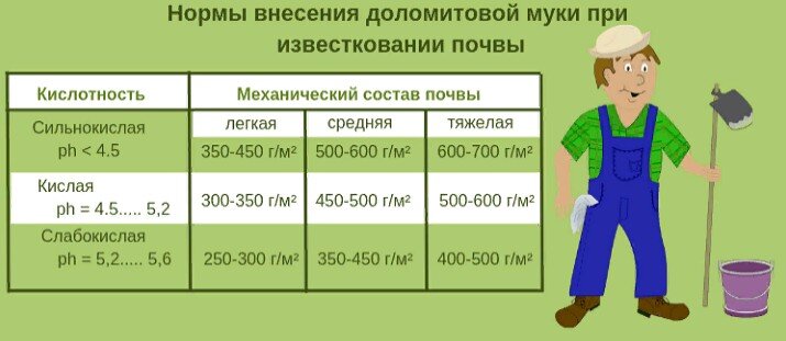 таблица взята из Яндекс.картинки