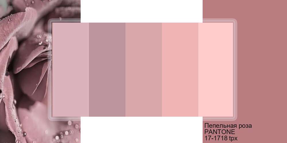 Сочетание розового цвета в таблицах. Фото