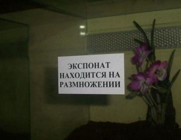 https://cdn.trinixy.ru/pics4/20110513/prikol_01.jpg