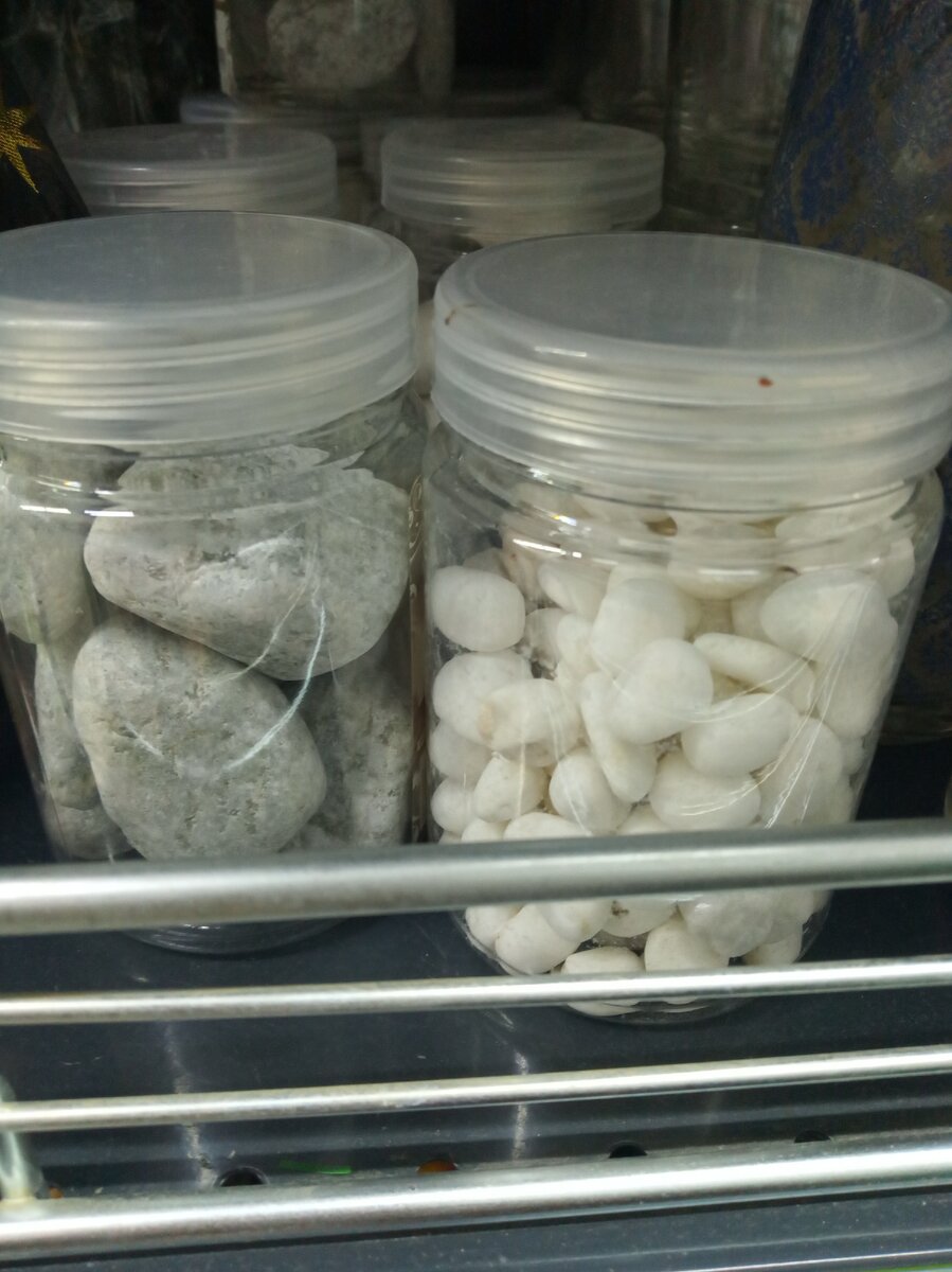 Фото из личного архива