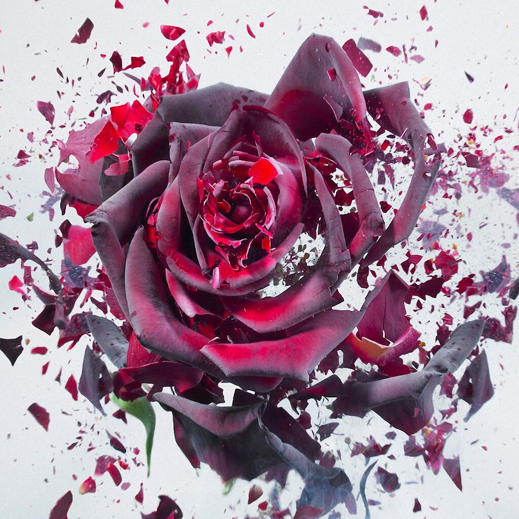 fullpicture.ru 