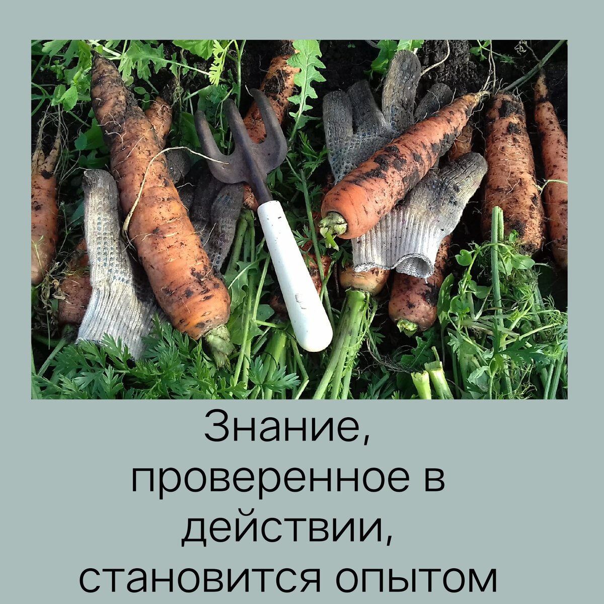 Получая опыт, мы уже не можем его потерять, поэтому в любое время можем начать с нуля. 