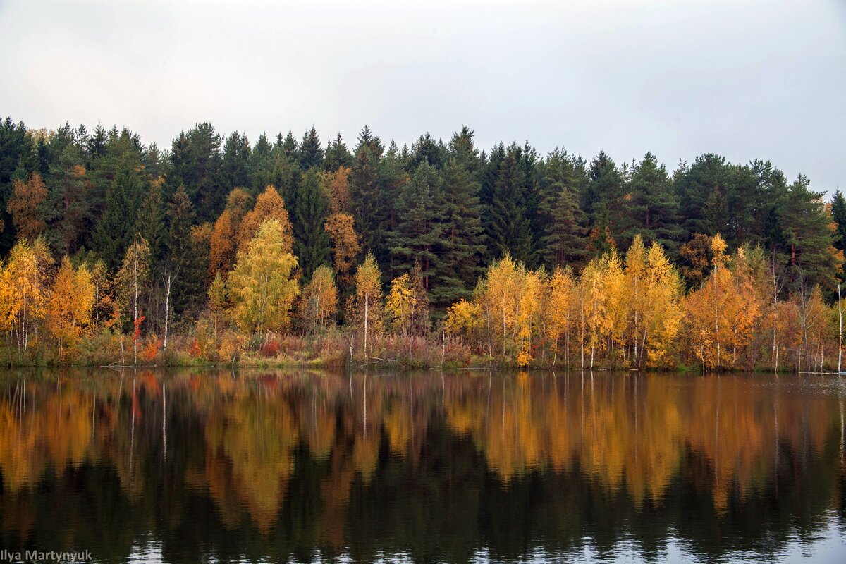 Лес в Катуарском треугольнике. Здесь вам предстоит блуждать. Возможно.