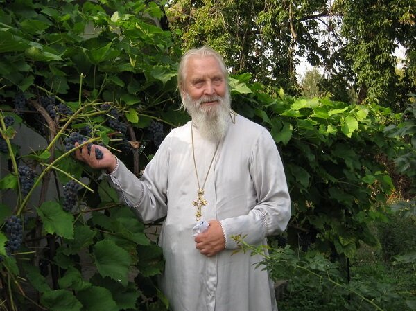    Протоиерей Георгий Бреев. Фото: Sp-g.ru