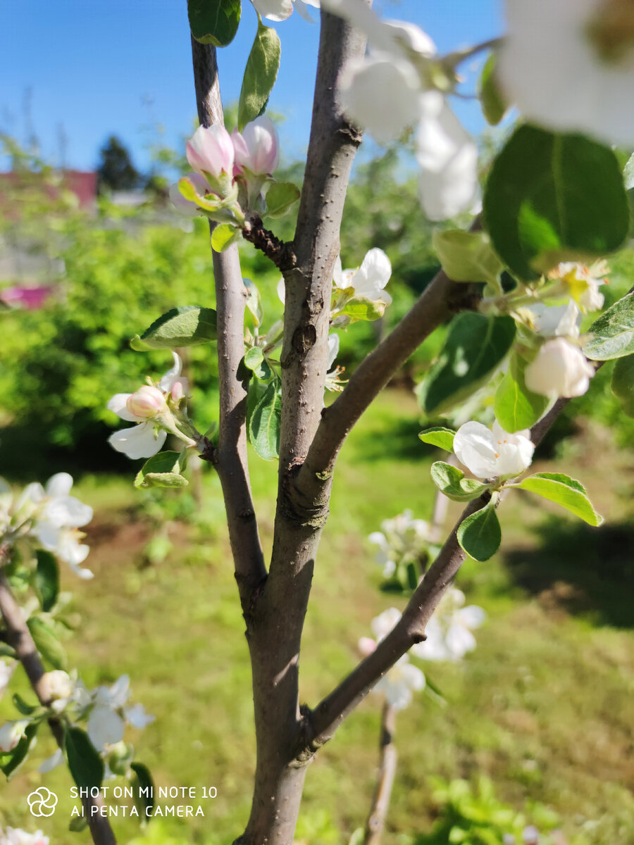 Место второй прививки уже почти незаметно