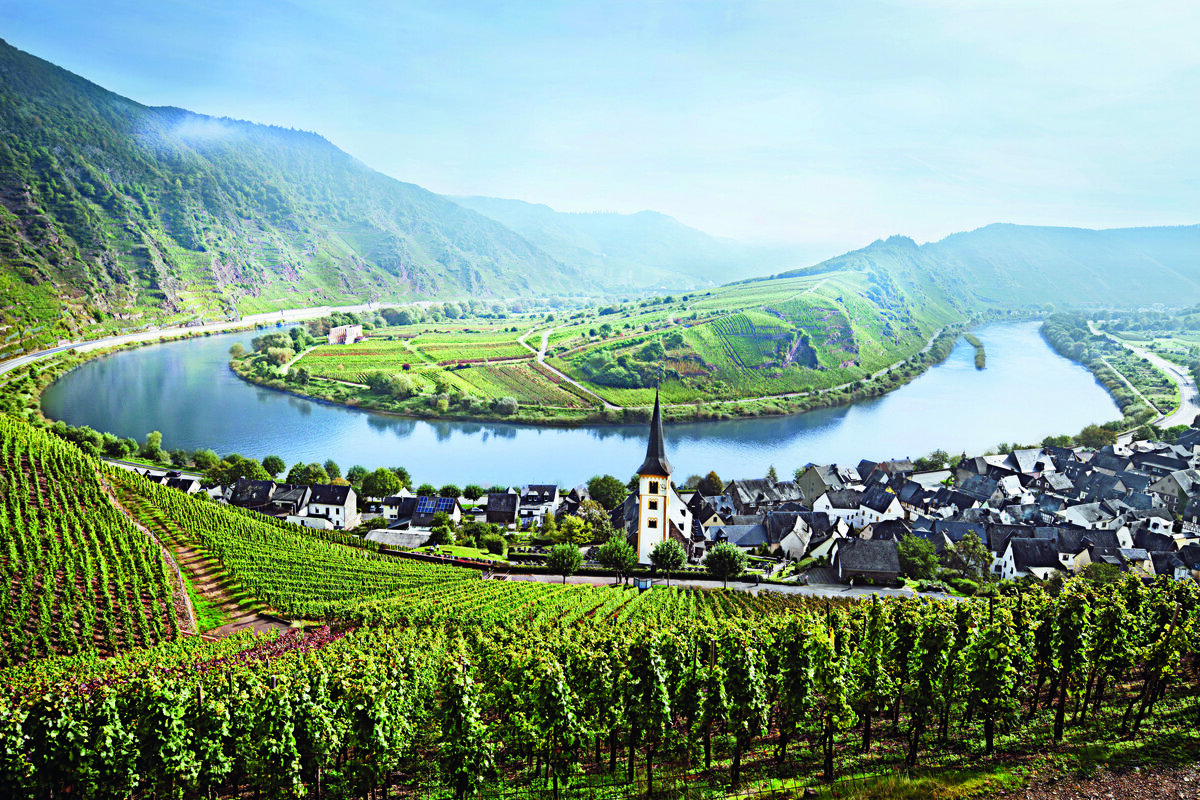 Фото региона Мозель  - как визитная картачка виноделия  в Германии