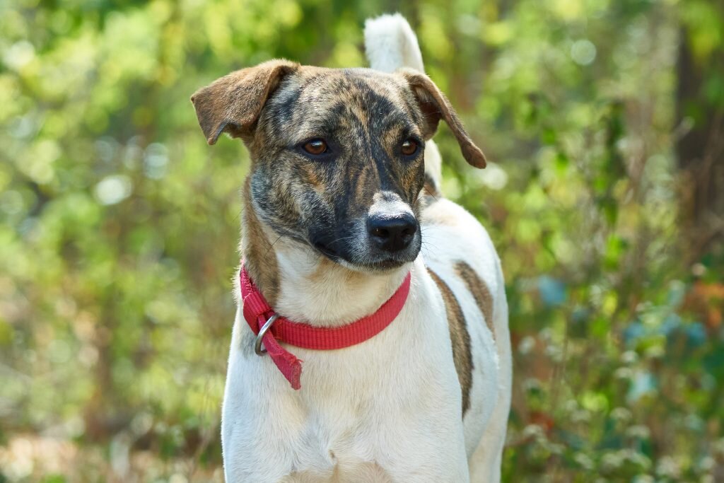 Источник: pixahive.com