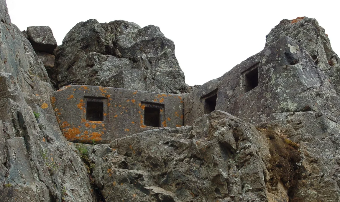 Фото: https://lah.ru/ 