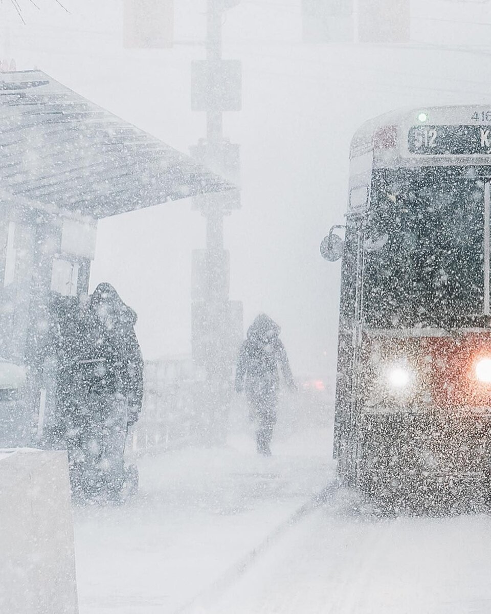 Источник: https://ru.pinterest.com/pin/whiteout-blizzard-toronto-ontario-by-michael-sidofsky-mindzeye-on-instagram--345510602662746253/