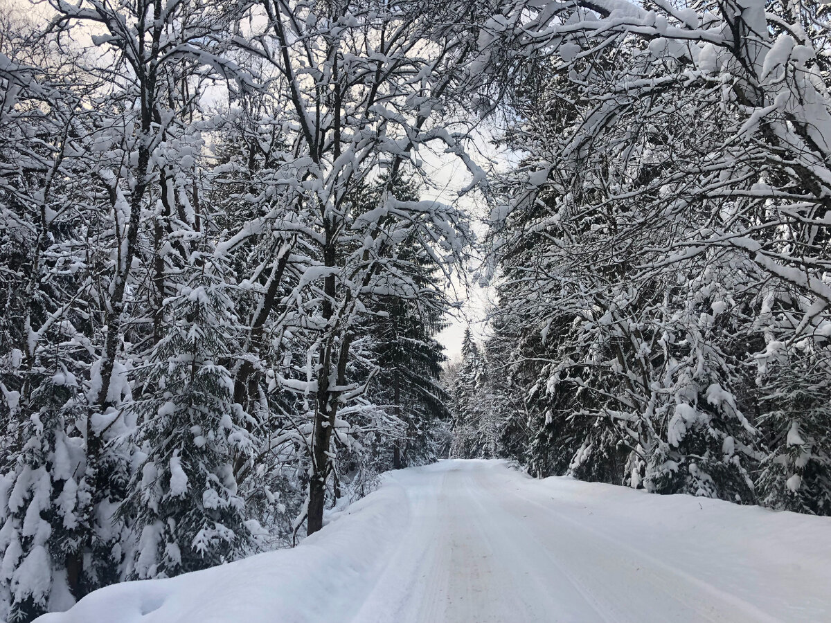 Дорога в СНТ проходит через зимнюю сказку)
