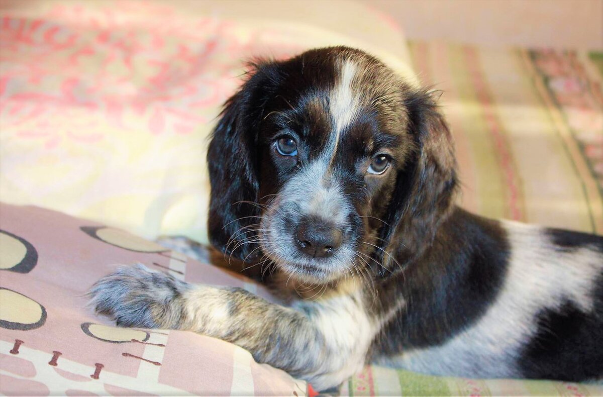 Фото из свободных источников для иллюстрации рассказа