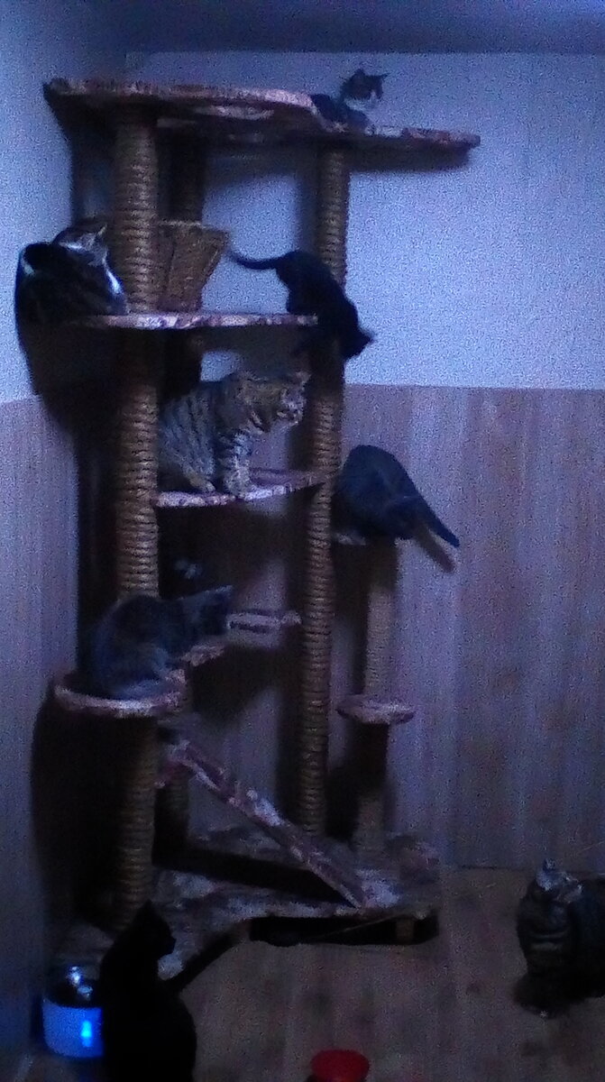 Прошу прощение за качество фото, Хуавей умер, а у Ирбиса фотки болеют фиговым качеством. Но суть разговора всё равно ясна. Игровые стойки.
