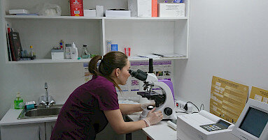 В 2022 году лабораторный комплекс IDEXX, в связи с санкциями, временно не работает. Ветеринарный центр Гармония, применяет комплект альтернативного ветеринарного оборудования для лаборатории ветцентра.