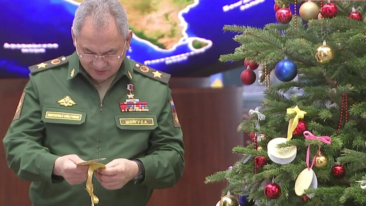     Министр обороны России Сергей Шойгу принял участие в акции «Елка желаний» и пригласил на парад Победы школьницу из Удмуртии.