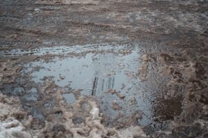    Фото: toptver.ru Мария Спиридонова