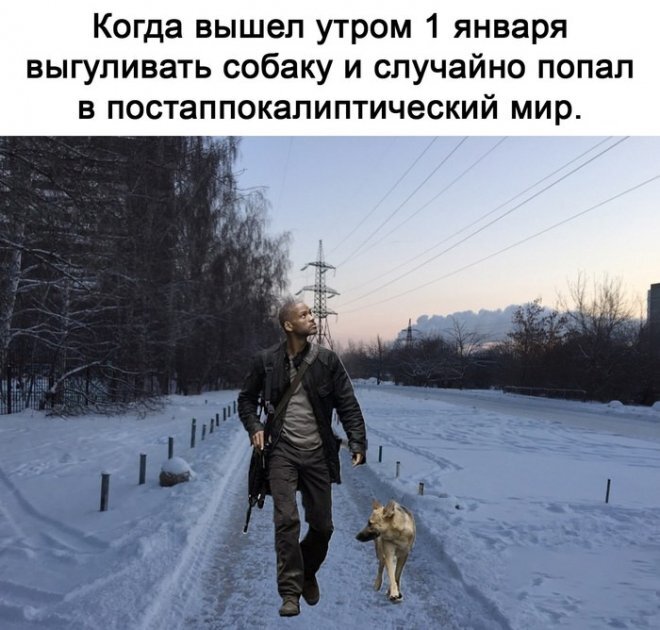 Изображение с сайта https://mixnews.lv/fun/2023/01/02/prikolnye-kartinki-s-nadpisyami-i-seledka-pod-yubkoy/