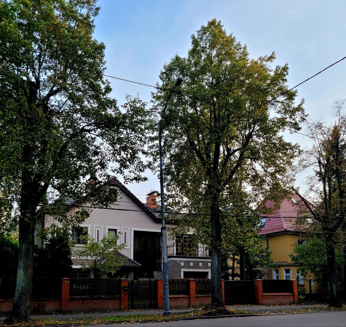 Частные дома, проспект Победы 9А и 11