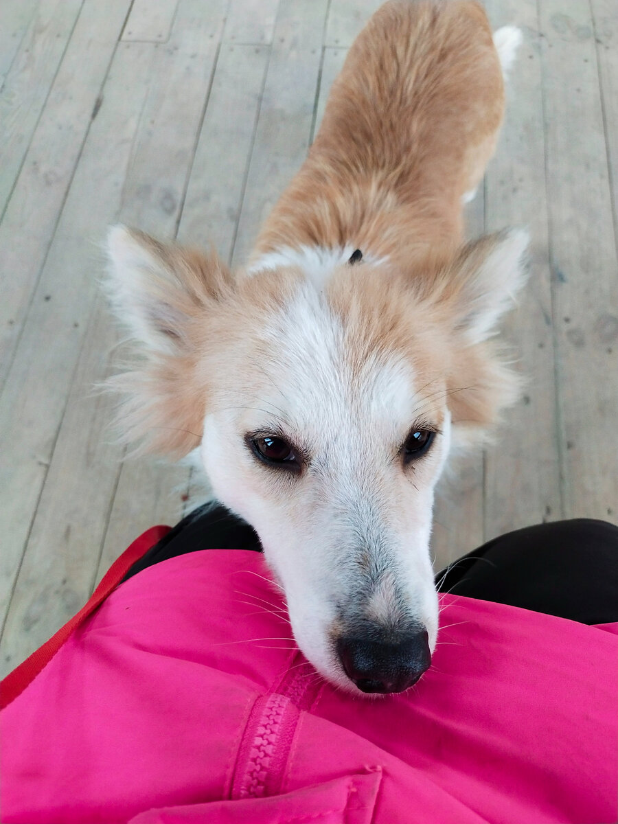 Та же прогулка