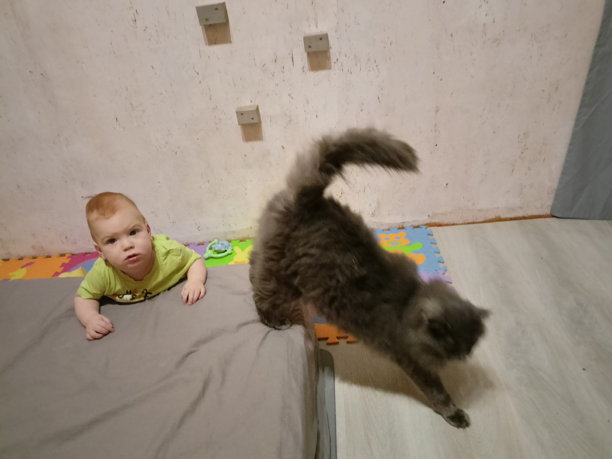 Кpизис ухода кота