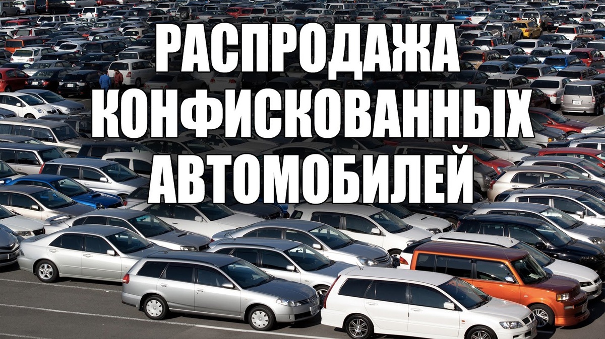 Конфискованное имущество должно быть использовано в интересах детей сирот  (как это поможет решить проблему- размышления дилетанта) | Сказочник | Дзен