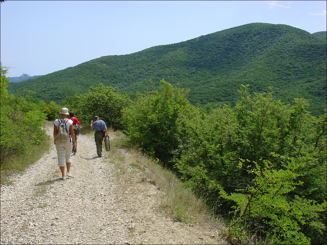 На тропе Грина (2007)