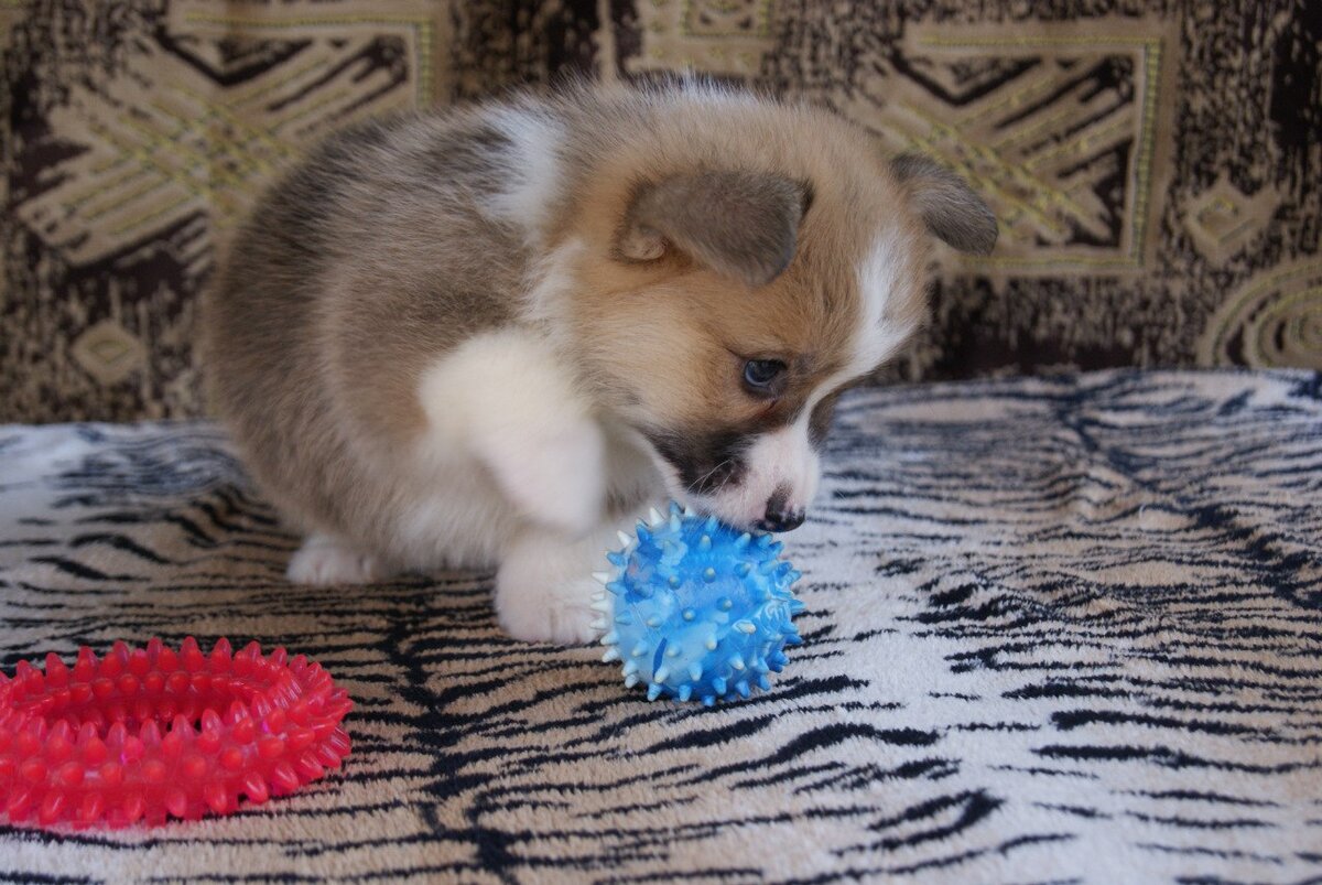 мячики любимые с  младенчества