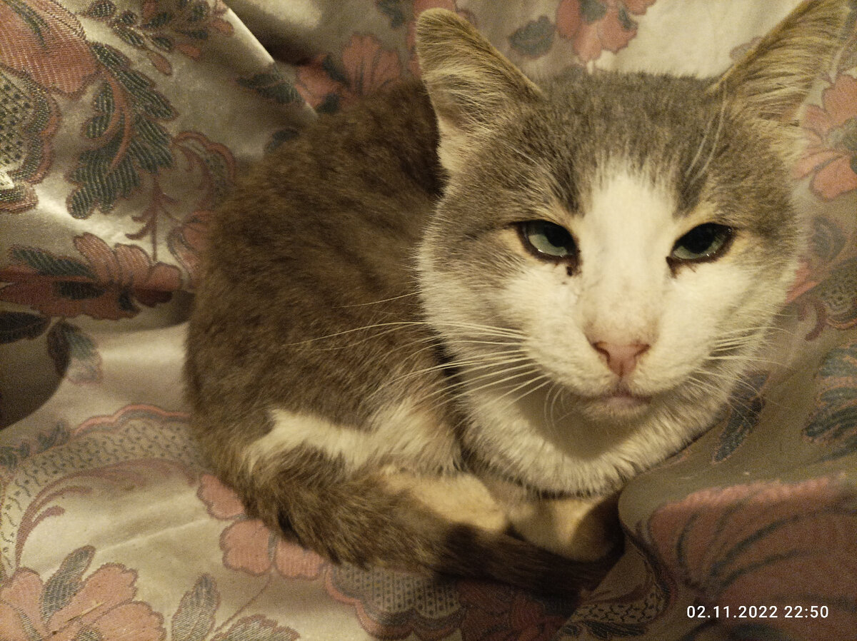 Это Боренька. За два месяца до ухода. 