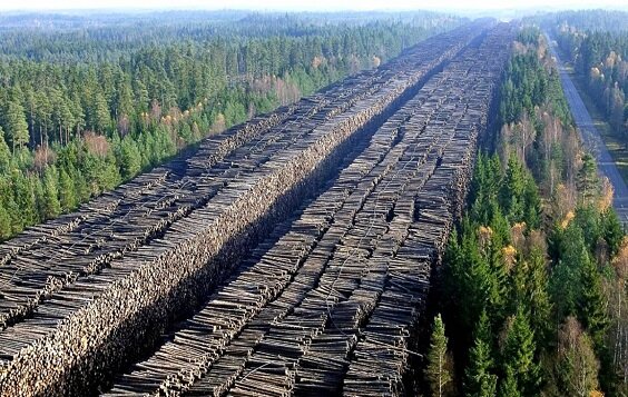 Небольшой фрагмент китайской вырубки леса. Леса в таких регионах исчезают на глазах.