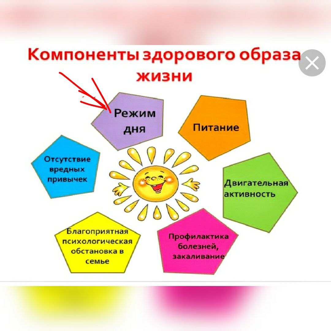 Дополните схему об основных элементах здорового образа жизни таблица ответы