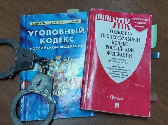     Жителя поселка Горный осудят за убийство сожительницы в Хабаровском крае / Анастасия Дудалова