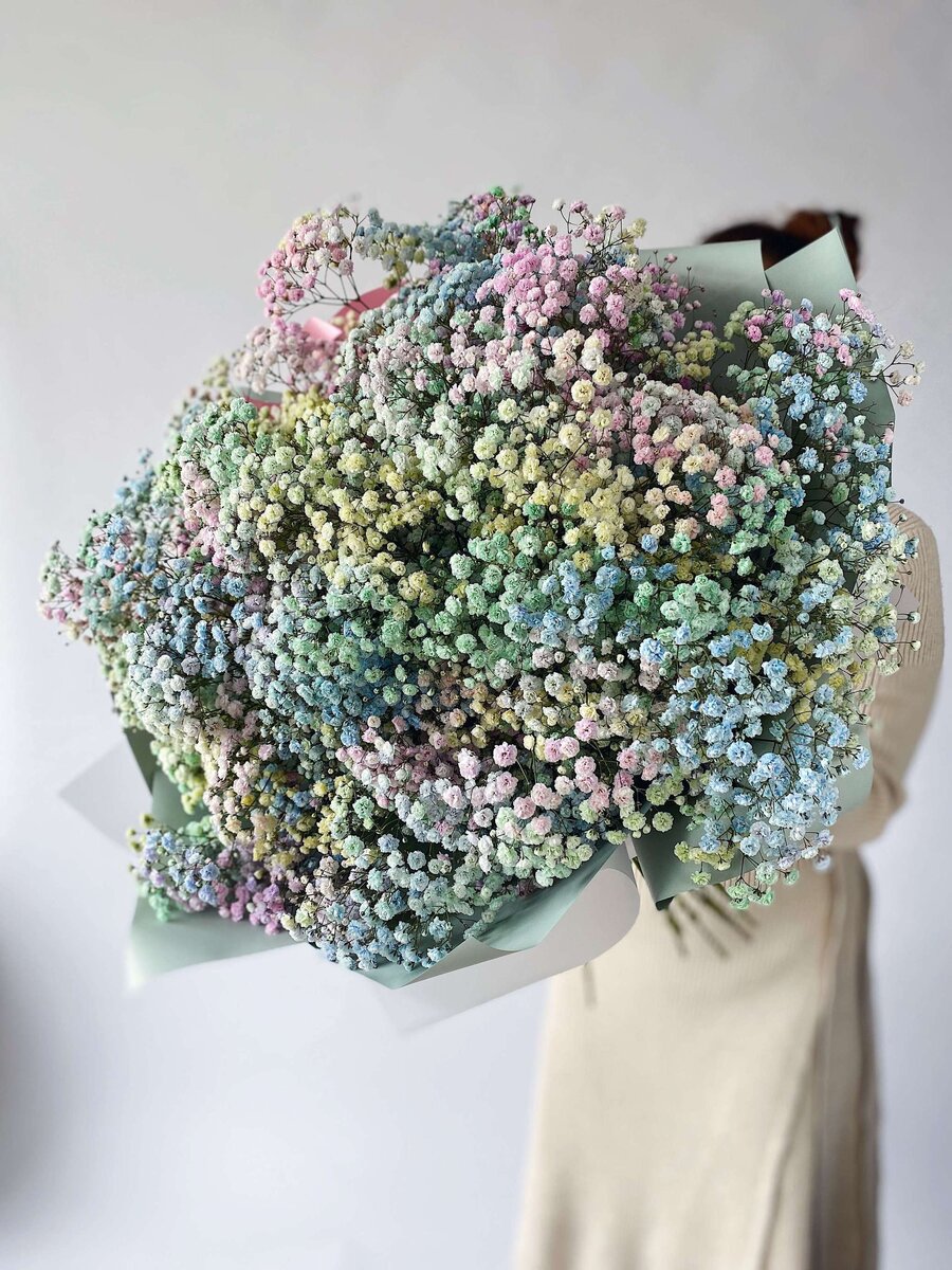 Гипсофила Rainbow 