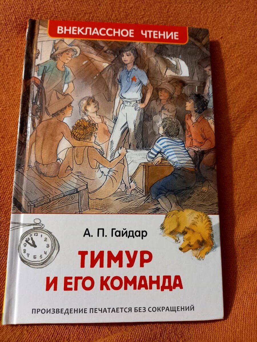 Тимур и его команда