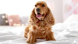 С просторов интернета