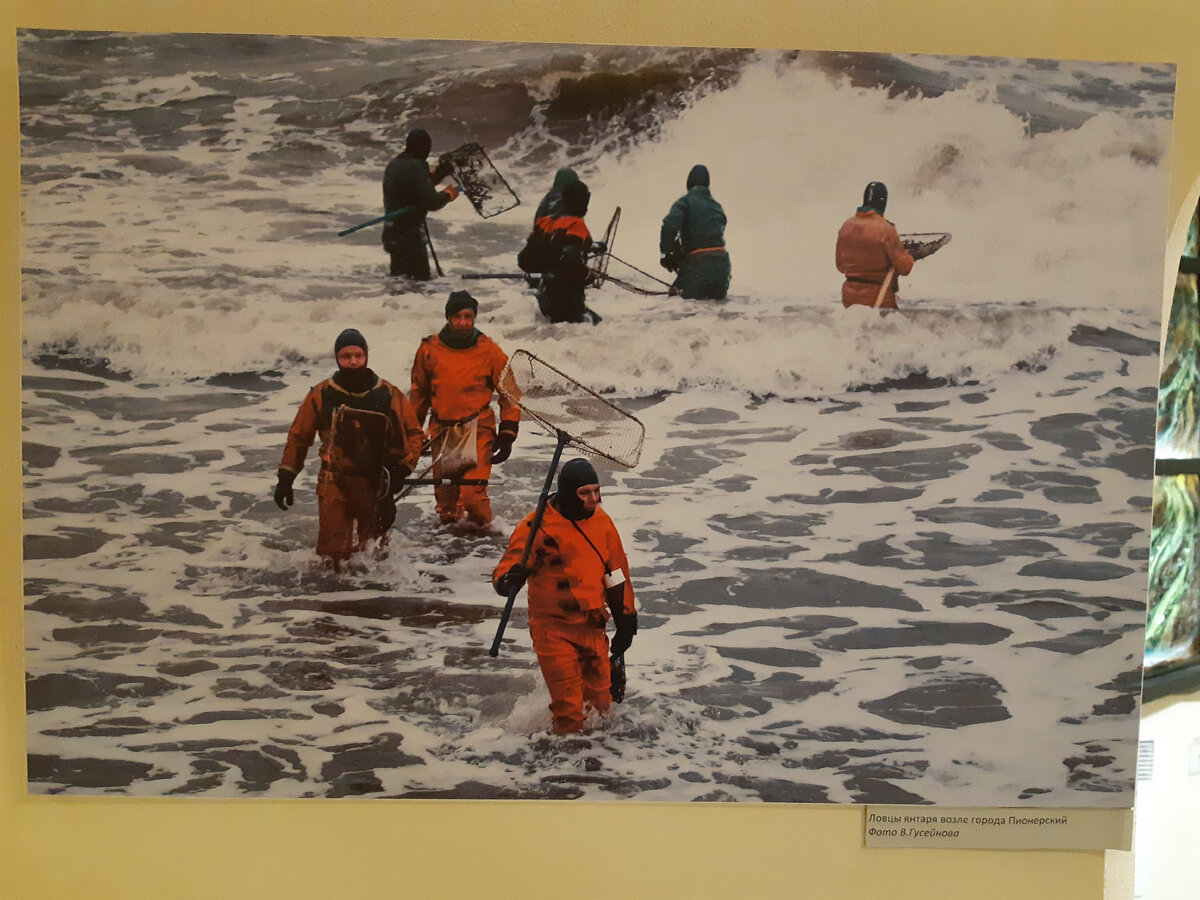 Вот так реально собирают янтарь  и сейчас в море