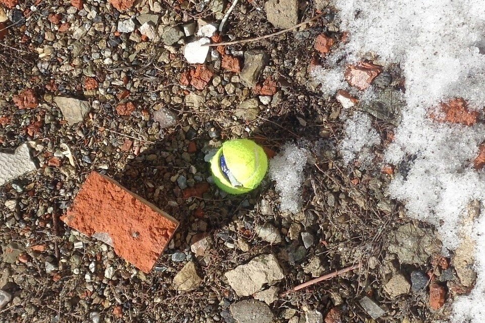     Мыч нашли на территории колонии. Фото: ГУФСИН по Свердловской области