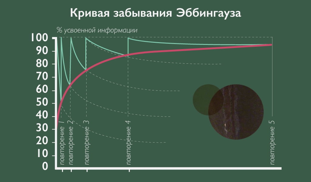 Интервальное повторение метод запоминания схема