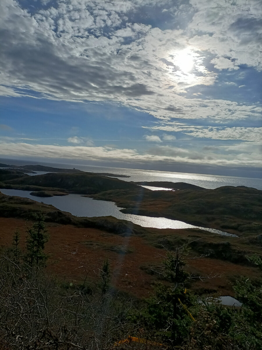 Newfoundland, Canadá 