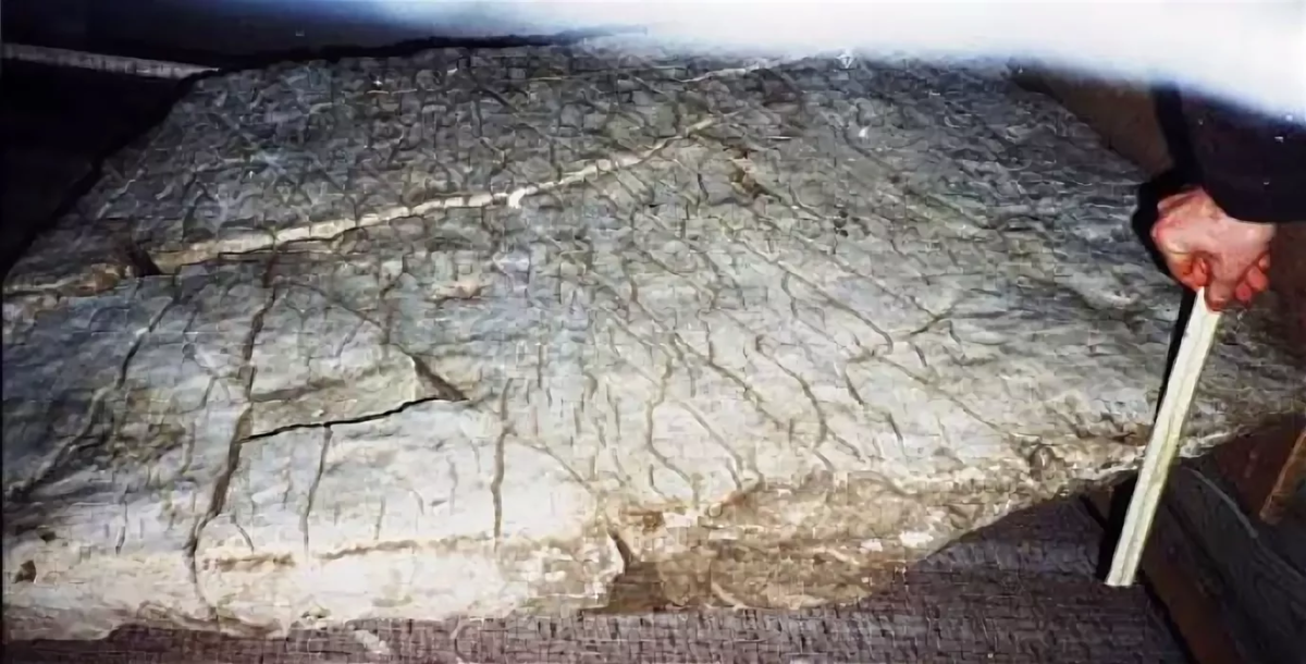 Alifon.livejournal.com