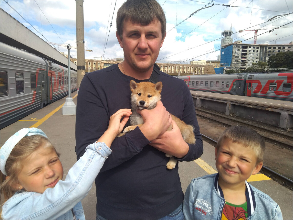 Первая встреча 