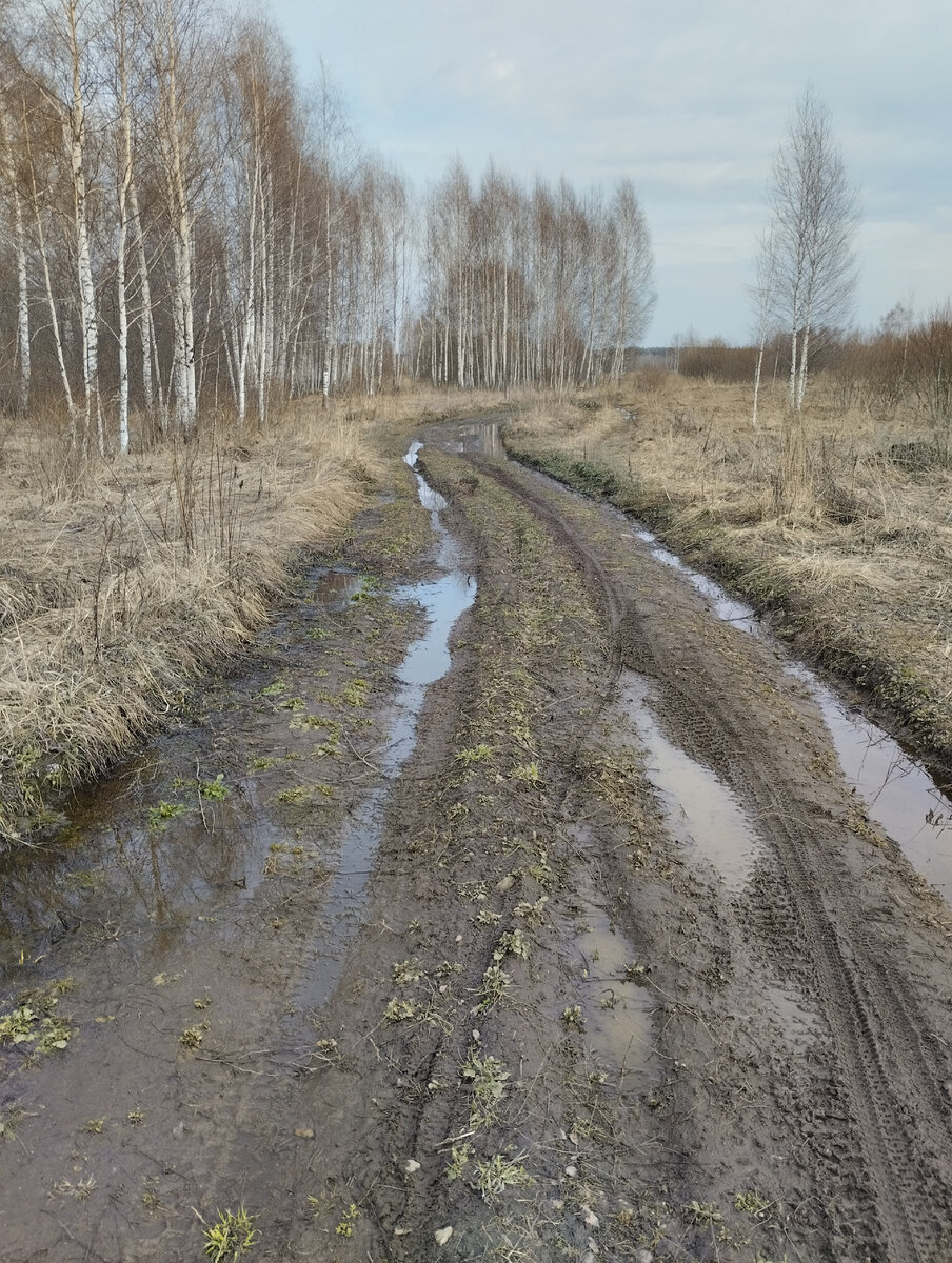Проселок