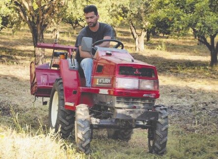 Лефтерис Данезис на своей оливковой плантации: «Эти деревья – свидетели радостей и горестей нескольких поколений нашей семьи». Фото из личного архива.