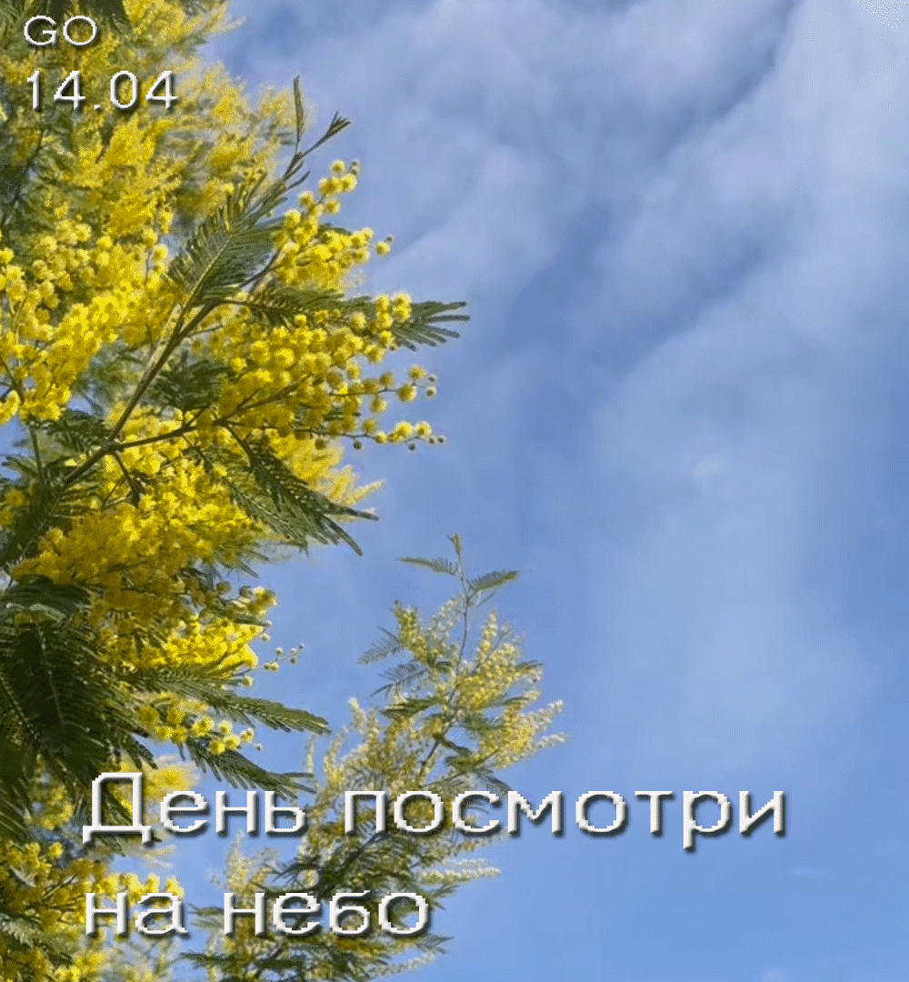 Сочи, март 2023