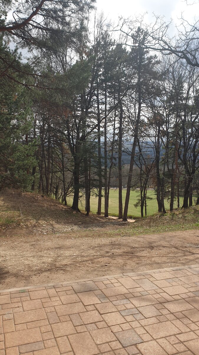 Трава проклевывается весна!