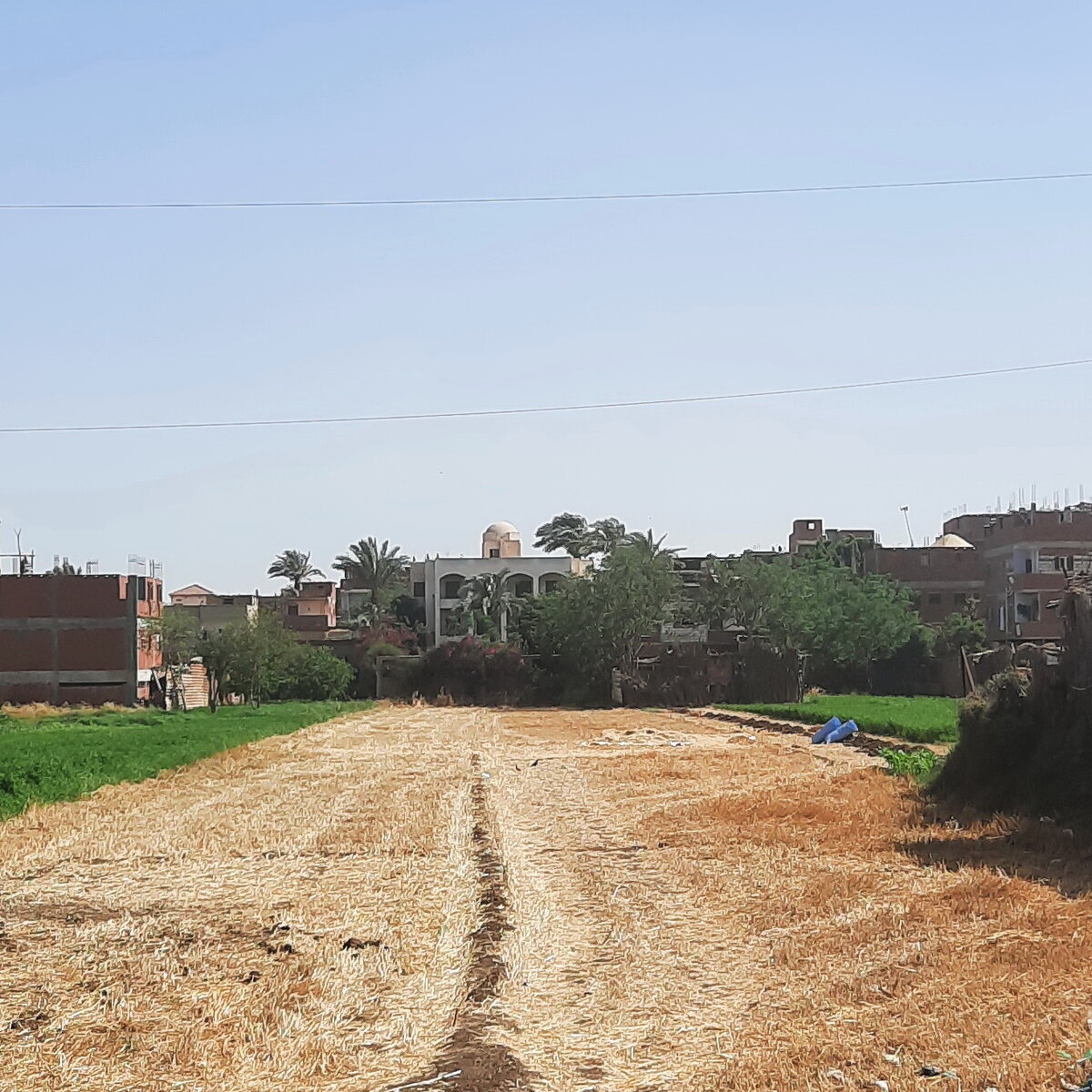 Вид на деревню со стороны поля. 