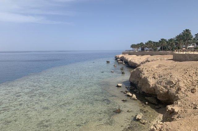    К какому морю лучше отправиться в отпуск?