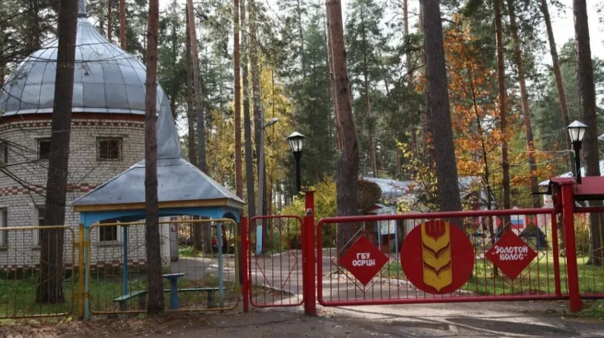 Детский лагерь «Золотой колос» в Арзамасском районе. Фото: sanatorsk.ru
